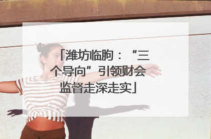潍坊临朐：“三个导向”引领财会监督走深走实